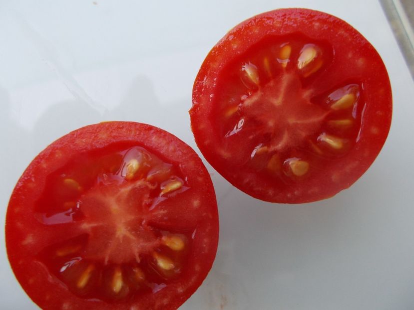  - SEMINTE ROSII - T 998 PIENNOLO DEL VESUVIO - de iarna