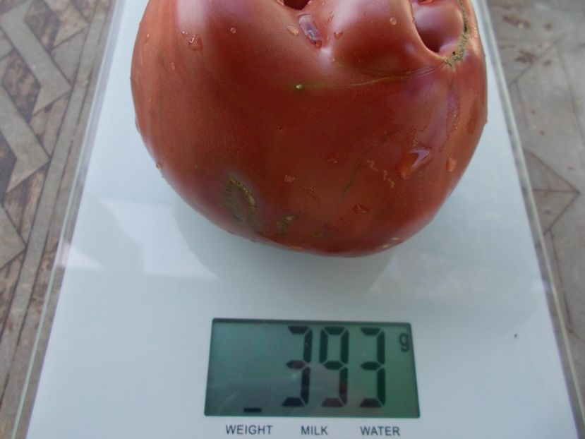  - SEMINTE ROSII - T 1051 THE BULLS BLACK HEART