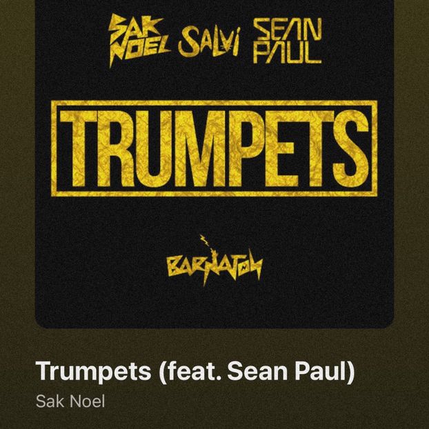 • Tintype got “Trumpets” by Sak Noel & Salvi ft. Sean Paul. + - when i see you on those streets
