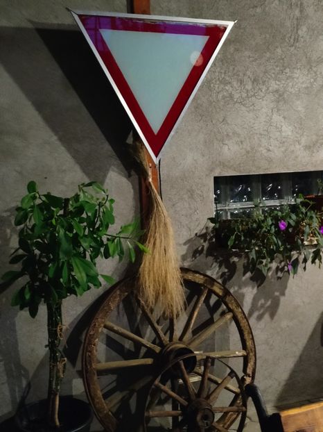 August 2024 - Gradina si terasa PrimaLuce__11-Hello 2024