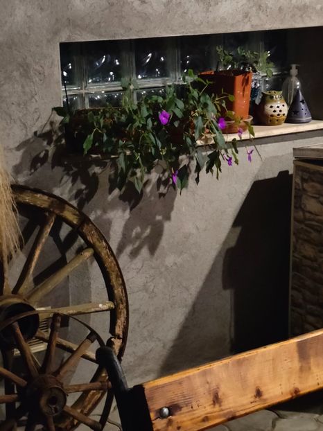 August 2024 - Gradina si terasa PrimaLuce__11-Hello 2024