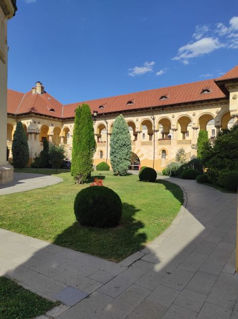 IMG-20240814-WA0020 - Alba Iulia