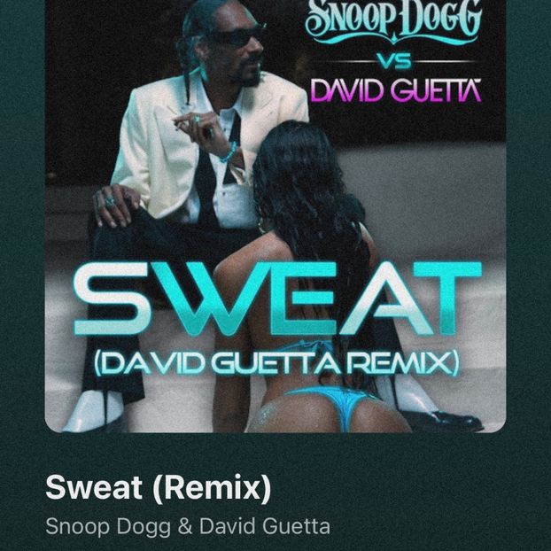 • xBarbieLandx3 got “Sweat” by Snoop Dogg ft. David Guetta RMX. + - when i see you on those streets