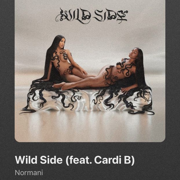 • Emptiness got “Wild Side” by Normani ft. Cardi B. + - when i see you on those streets