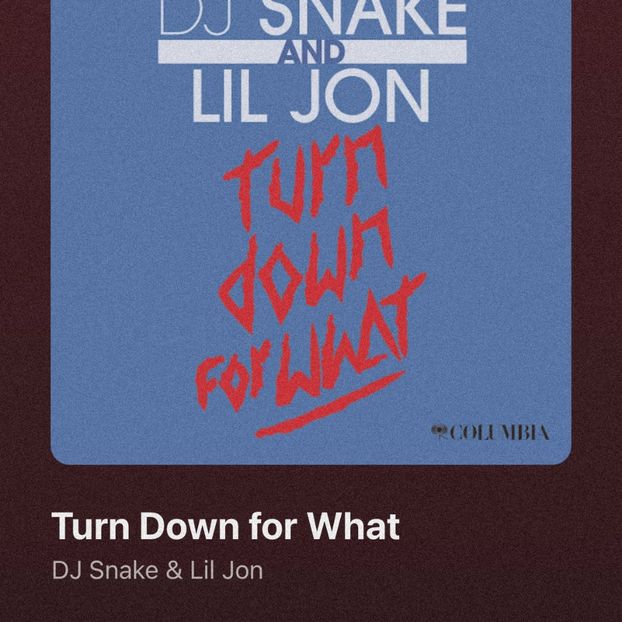 • cupcakes got “Turn Down for What” by DJ Snake & Lil Jon. + - when i see you on those streets
