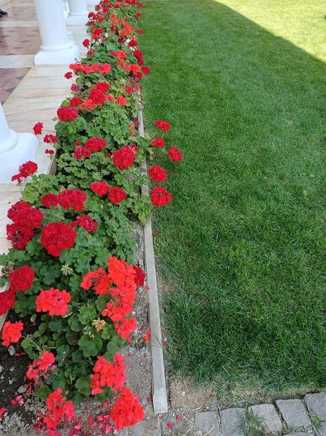 Img.2024.08.15 - Mănăstirea Brâncoveanu