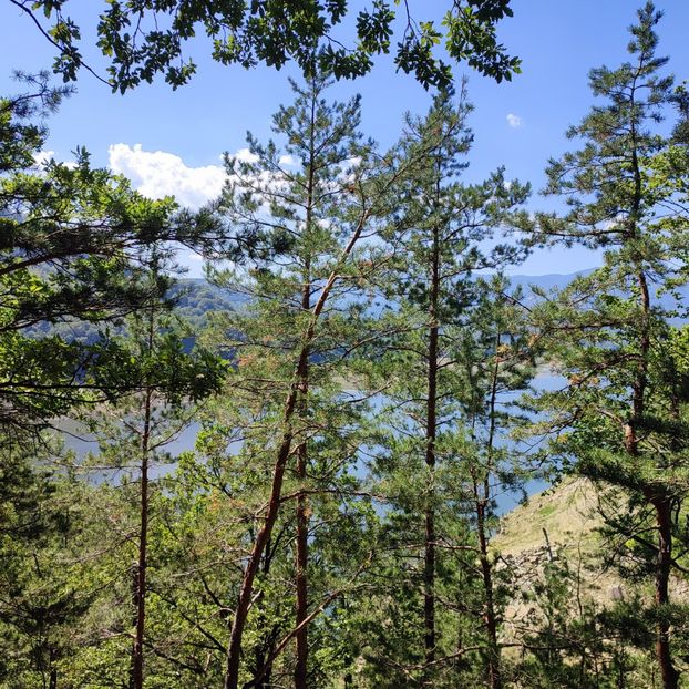 Lacul Poiana Uzului - Slanic Moldova aug 24