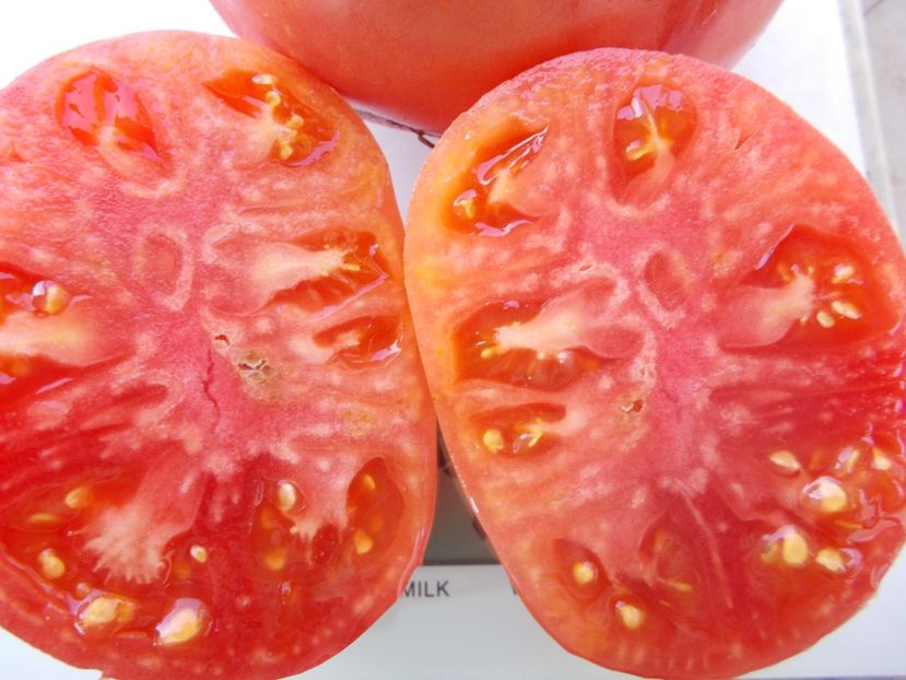  - SEMINTE ROSII - T 1061 BIDEN HEART