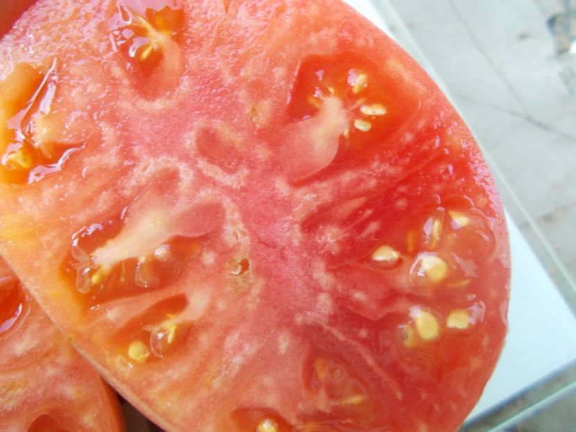  - SEMINTE ROSII - T 1061 BIDEN HEART