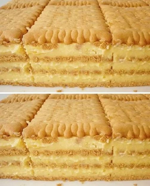  - Prajitura cu biscuiti si budinca de vanilie