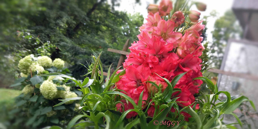 © - 2024 - 02 - Vara