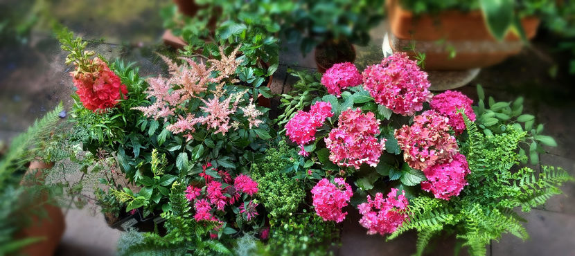 © - 2024 - 02 - Vara