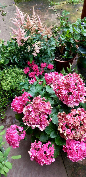 © - 2024 - 02 - Vara