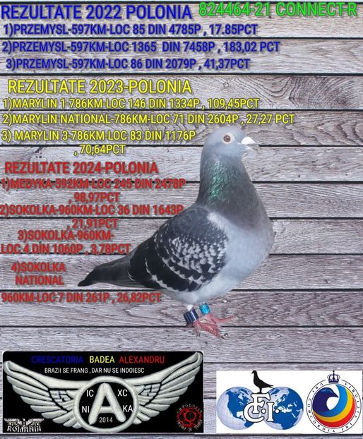 CONNECT-R-824464-21 - 2024-PORUMBEI REPREZENTATIVI