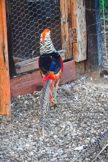 PSX_20240820_084320 - 06 VAND