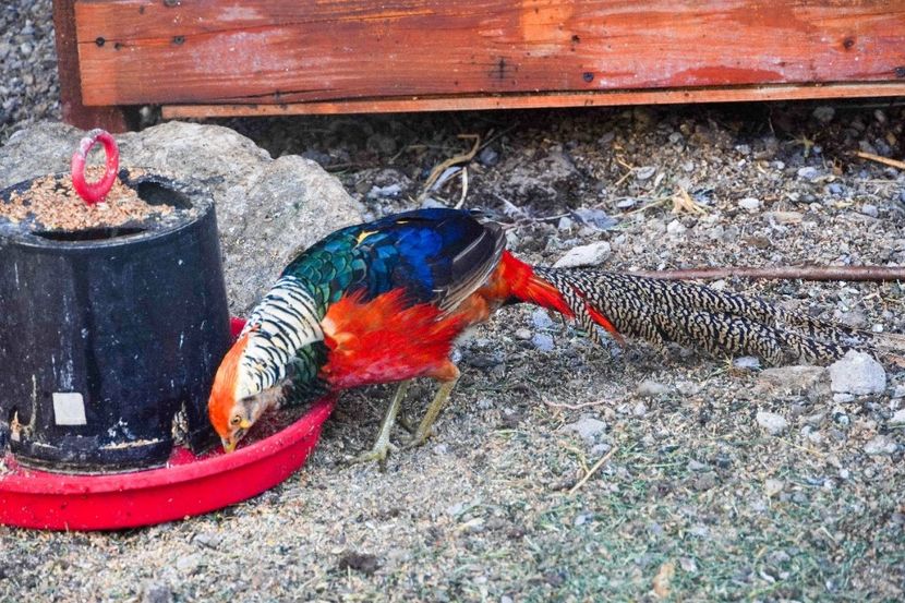 PSX_20240820_085307 - 06 VAND