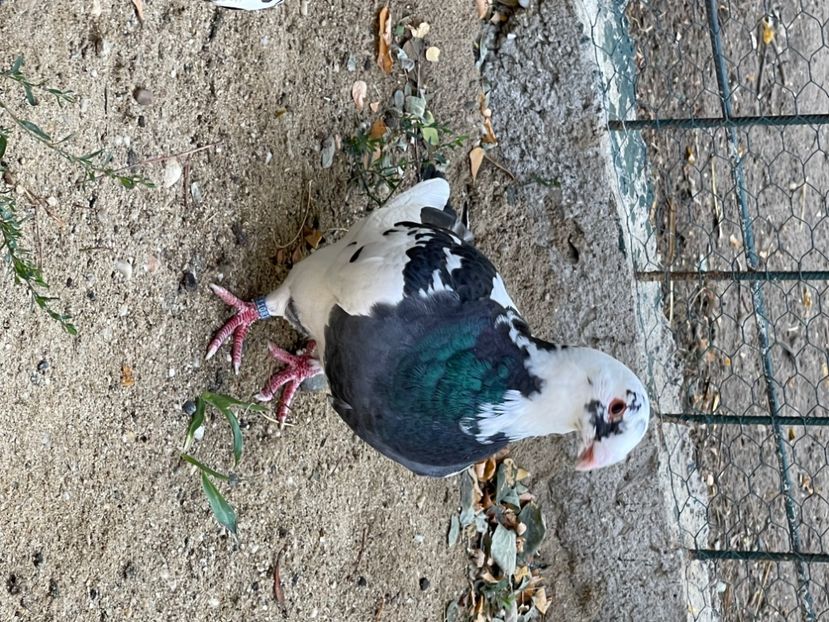 986E7E2F-3C40-410F-B527-CD85FB27E6B2 - TINERET2024