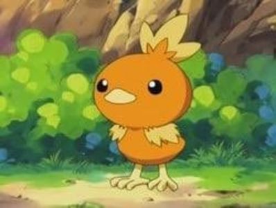  - Adopta un Pokemon