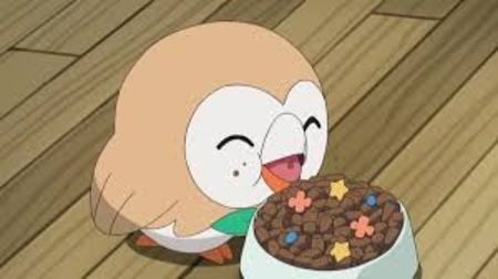  - Adopta un Pokemon