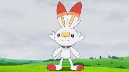  - Adopta un Pokemon