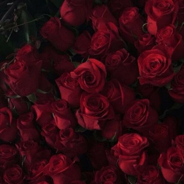 • xTheOriginalsTO said R O S E. - when i see you on those streets