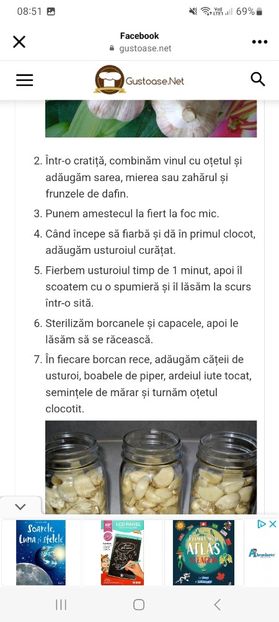 Screenshot_20240821_085130_Facebook - Usturoi marinat in otet sau ulei