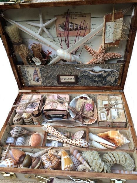 my surviving kit in case of an apocalypse ! - Collection of Tintypes