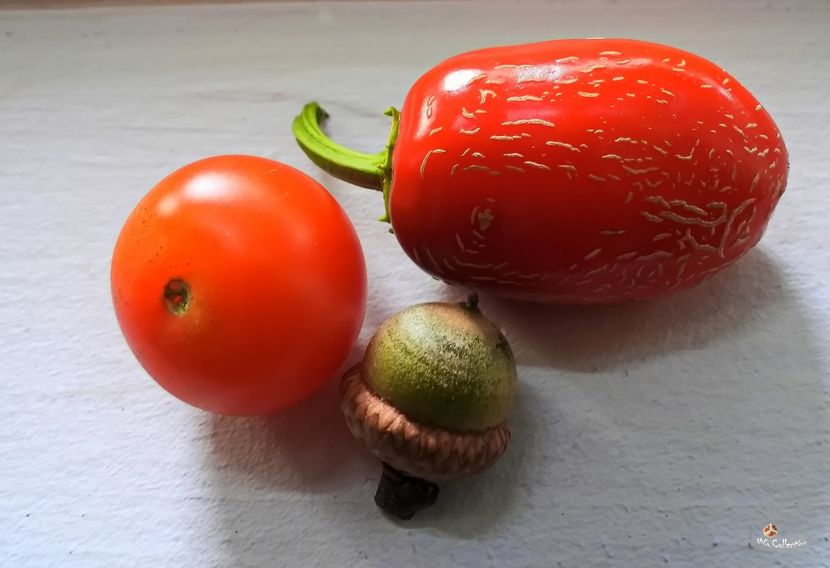 Vegs - J - VEGS - FRUITS- Legume Fructe