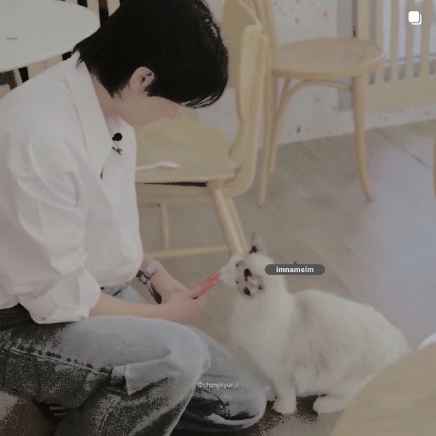 24.08.⠀⠀⠀ ✦ ꯭໋ 熱 t̟e̟n̟d̟e̟r̟♡uoᴉʇɔǝɟɟɐ. ̵ׄ ❵ - Mirrored Blind Playin