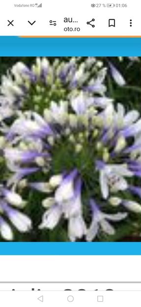 Screenshot_20240818_010628_com.android.chrome - August 2024