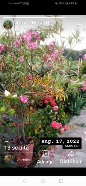 Screenshot_20240817_153435_com.facebook.katana - August 2024