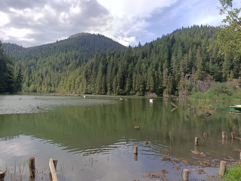 Img.2024.08.21 - Lacul roșu - Cheile Bicazului