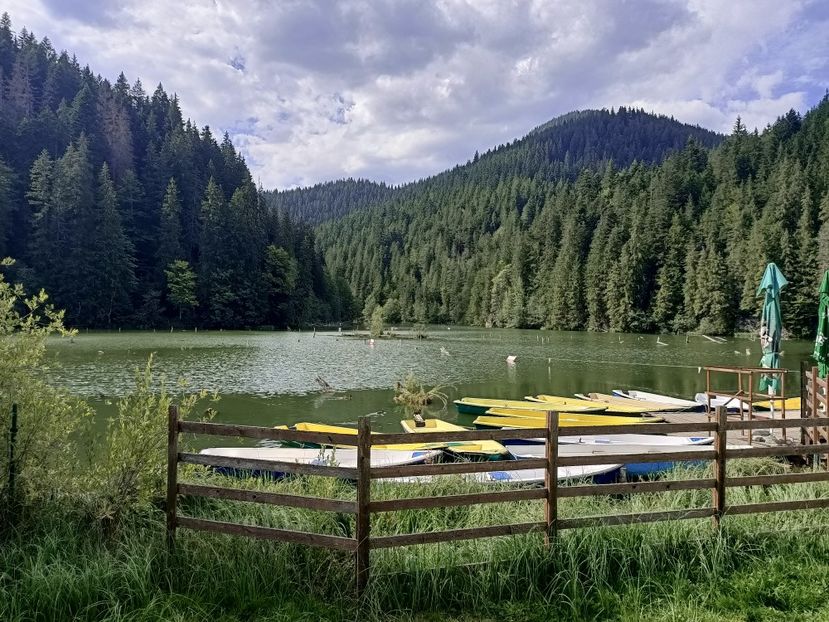 Img.2024.08.21 - Lacul roșu - Cheile Bicazului