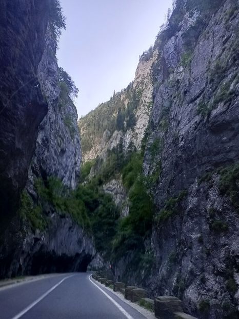 Img.2024.08.21 - Lacul roșu - Cheile Bicazului
