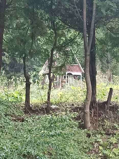 Img.2024.08.21 - Lacul roșu - Cheile Bicazului