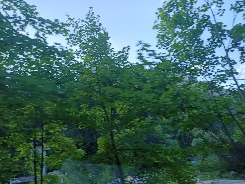 Img.2024.08.21 - Lacul roșu - Cheile Bicazului