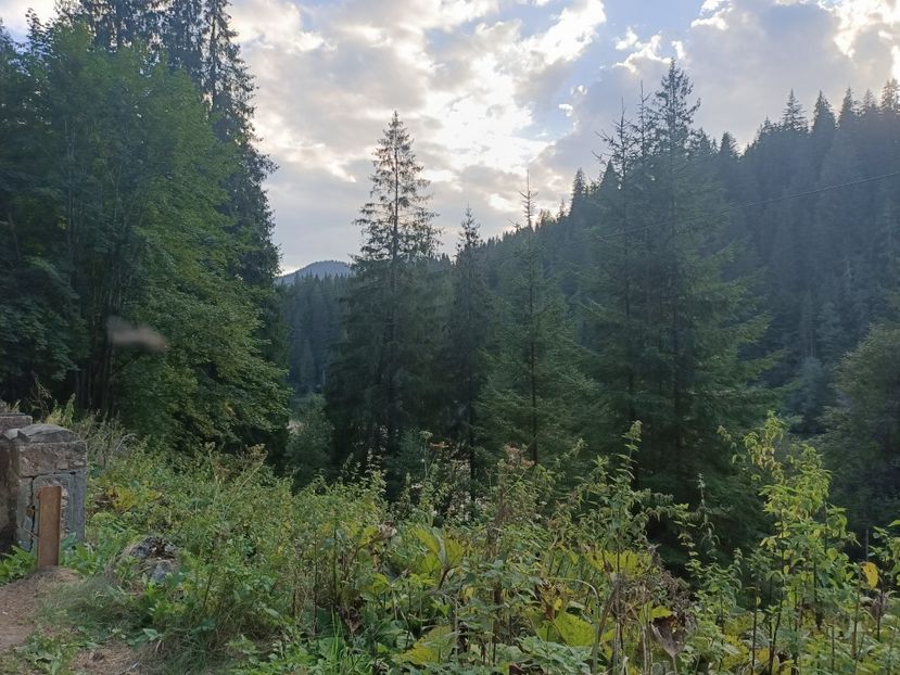 Img.2024.08.21 - Lacul roșu - Cheile Bicazului