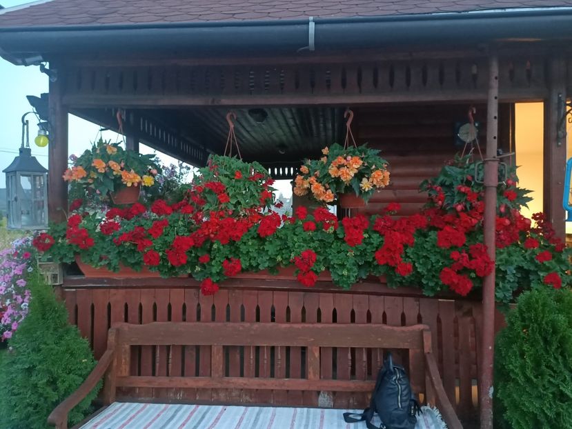 Img.2024.08.21 - Lacul roșu - Cheile Bicazului