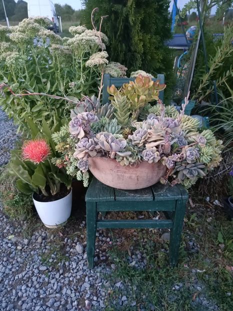 Img.2024.08.21 - Lacul roșu - Cheile Bicazului