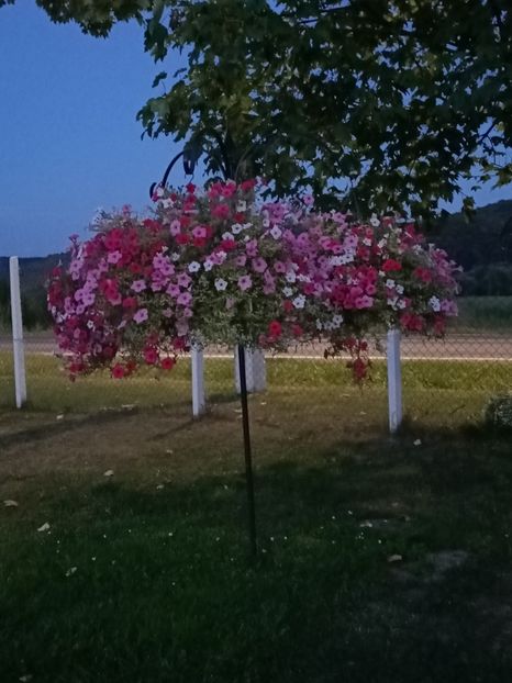 Img.2024.08.21 - Lacul roșu - Cheile Bicazului