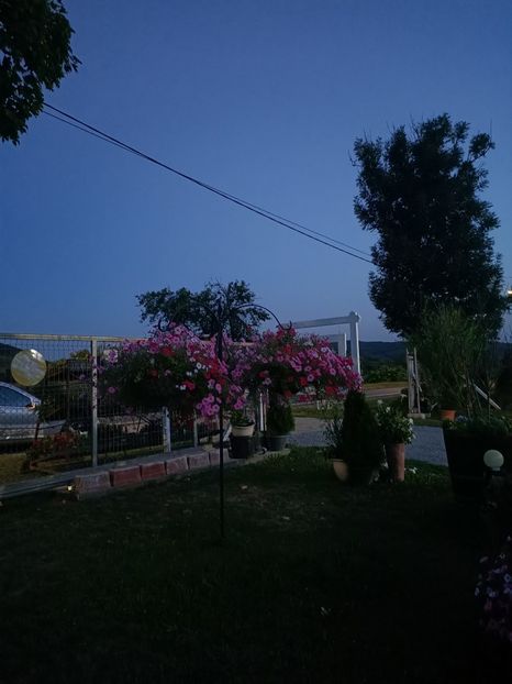 Img.2024.08.21 - Lacul roșu - Cheile Bicazului