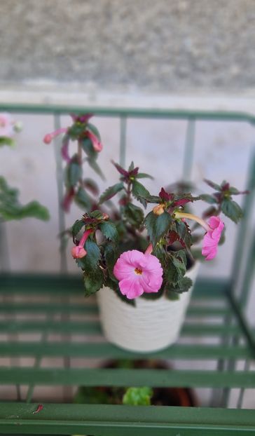 2024 - Madame Bovary 2022