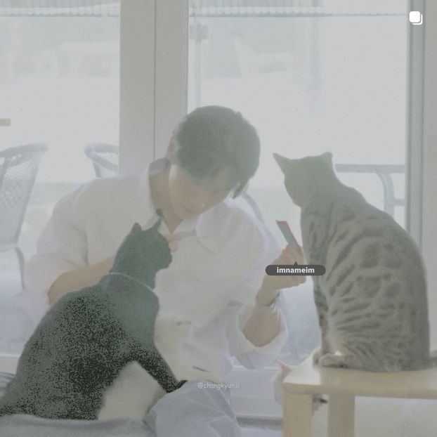 26.08.⠀⠀⠀ ✦ ꯭໋ 熱 t̟e̟n̟d̟e̟r̟♡uoᴉʇɔǝɟɟɐ. ̵ׄ ❵ - Mirrored Blind Playin