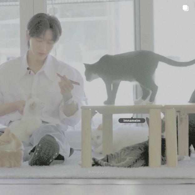 27.08.⠀⠀⠀ ✦ ꯭໋ 熱 t̟e̟n̟d̟e̟r̟♡uoᴉʇɔǝɟɟɐ. ̵ׄ ❵ - Mirrored Blind Playin