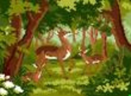 uyiyuiy - imagini cu bambi