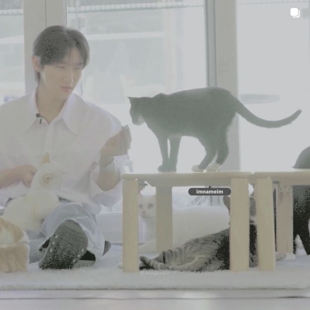 28.08.⠀⠀⠀ ✦ ꯭໋ 熱 t̟e̟n̟d̟e̟r̟♡uoᴉʇɔǝɟɟɐ. ̵ׄ ❵ - Mirrored Blind Playin