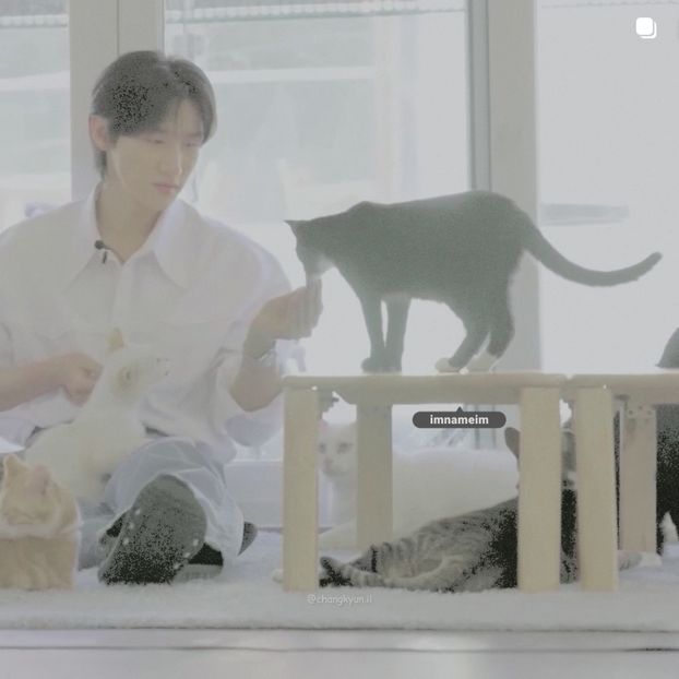 29.08.⠀⠀⠀ ✦ ꯭໋ 熱 t̟e̟n̟d̟e̟r̟♡uoᴉʇɔǝɟɟɐ. ̵ׄ ❵ - Mirrored Blind Playin