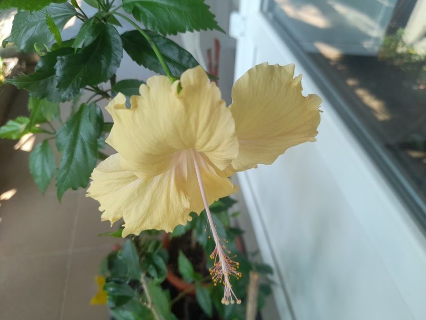  - 1 2024 Din nou cu natura impreuna !