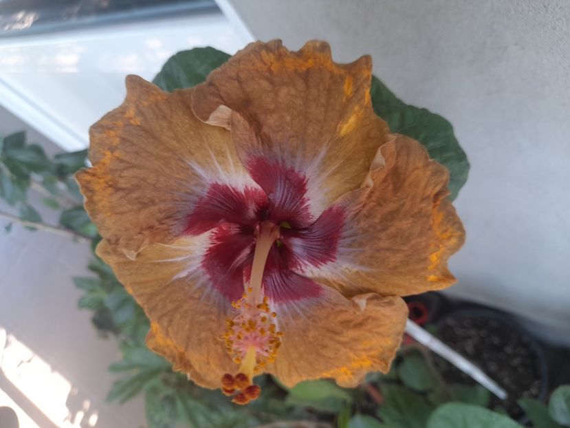  - 1 2024 Din nou cu natura impreuna !