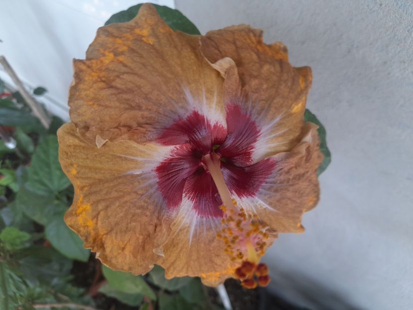  - 1 2024 Din nou cu natura impreuna !